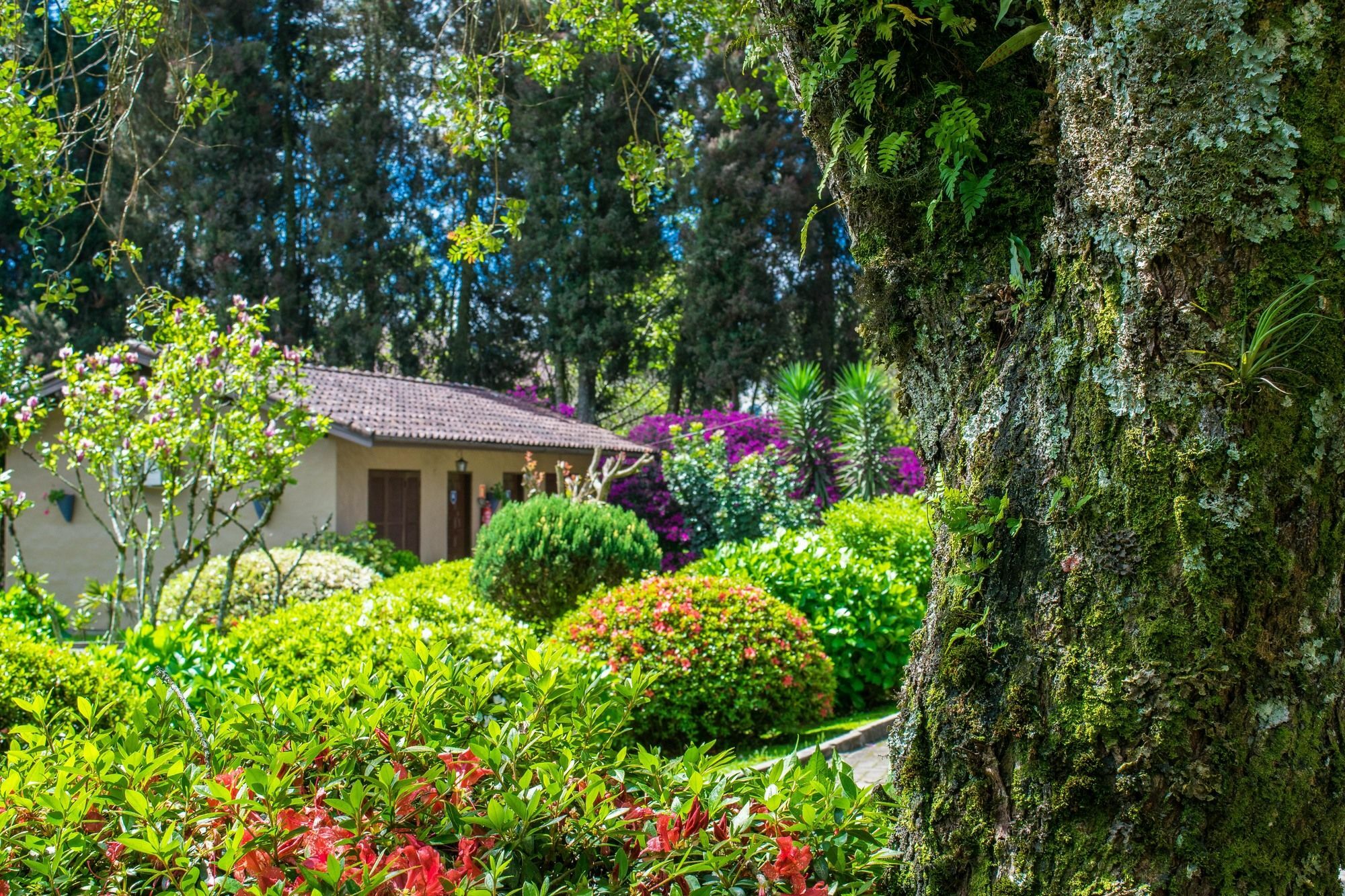 Hotel Fioreze Quero Quero Gramado Eksteriør bilde